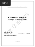 Rapport Eon PDF