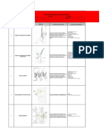 Ejercicios Prácticos Trabajo en Alturas