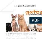 Gatos