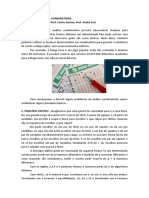 Anlise Combinatria PDF