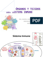 Unidad II Células, Organos y Tejidos Del Sistema Inmune