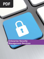 BR Enterprise Security MGMT