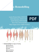 Bone Remodelling