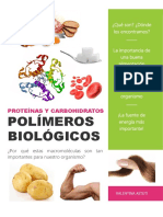 Los Polimeros Biologicos y Su Importancia