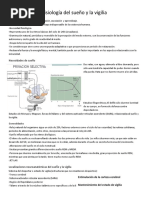 Fisiología Del Sueño y La Vigilia PDF