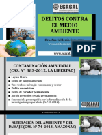 Delitos Contra El Medio Ambiente