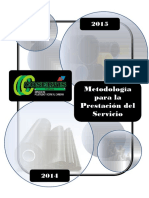 Metodologia para La Prestacion de Los Servicios en HDPE PDF