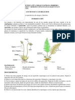 Guia de Laboratorio Reproducción en Plantas