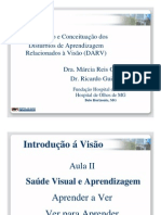 Aula 2 Dr. Ricardo Guimaraes Intro Fundacao Hospital de Olhos Curso Profess Ores Dislexia de Leitura