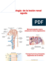 Injuria Renal