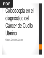 Introducción A La Colposcopia Modulo 3 PDF