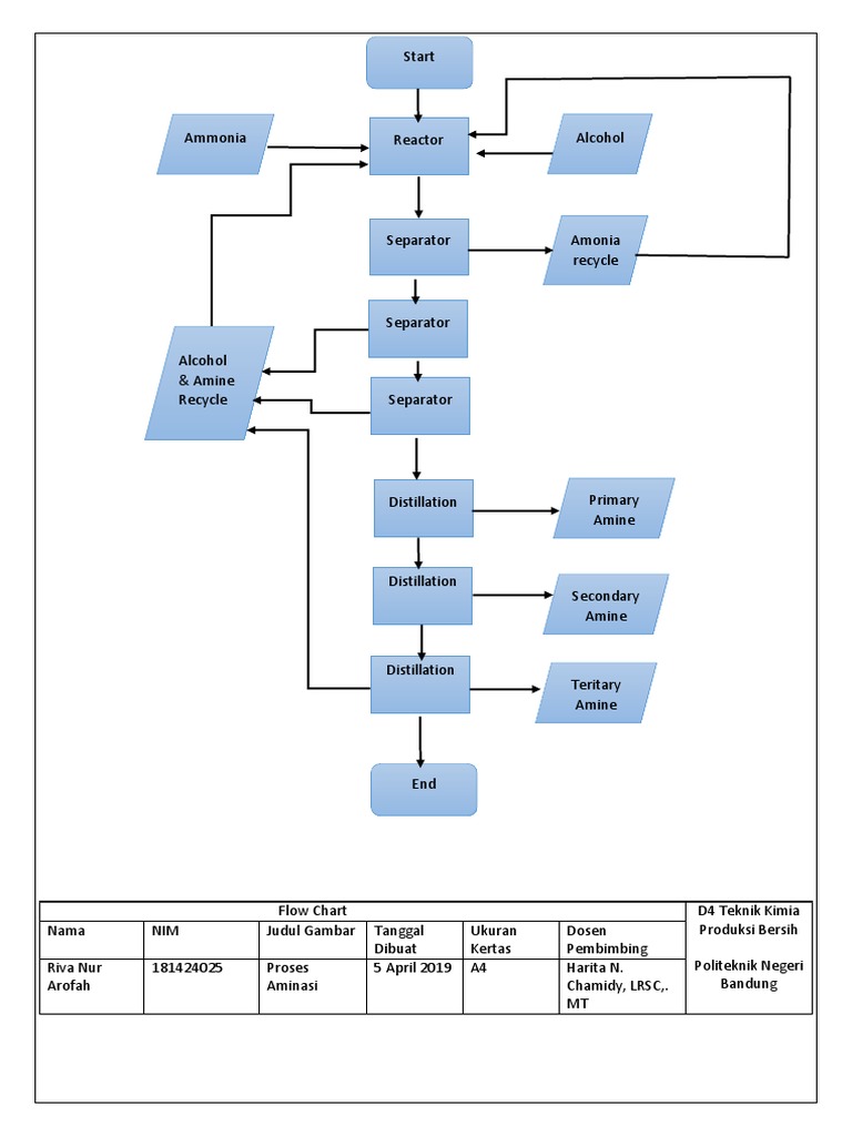 Flow Chart - Proses Aminasi | PDF