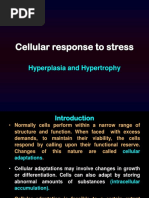 Hyperplasia and Hypertrophy