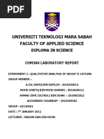 QUALITATIVE ANALYSIS OF GROUP II CATIONS Lab Chm360 2 Full