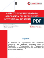 Lineamientos Generales PIA 2019