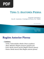 TEMA 1 Pierna ANATOMÍA PDF