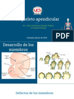 Esqueleto Apendicular