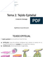 2 Tejido Epitelial1