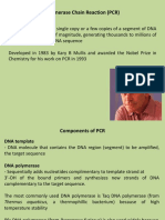 Polymerase Chain Reaction (PCR)