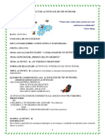 PROIECT DIDACTIC Stirbu Lacramioara PDF