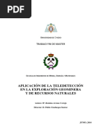 TFM RominaArenasCorujo PDF