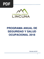 Programa Anual de Seguridad y Salud Ocupacional 2018