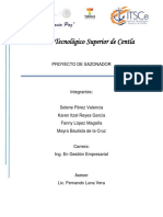 Proyecto Sazon Mix PDF