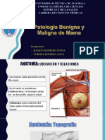 Mama, Patologia Beninga Lesiones Premalignas y Cancer de Mama