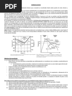 TT Normalizado