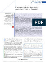 The Functional Anatomy of The Superficial Fat Compartments of The Face: A Detailed Imaging Study