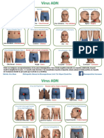 Puntos de Rastreo Virus ADN