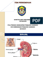 Lembar Balik Sistem Perkemihan