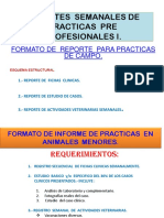 Reportes Semanales de Practicas Pre Profesionales I