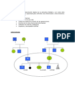 Genograma - Circulo Familiar - Clase 4