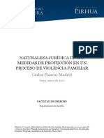 La Naturaleza Juridica de Las Medidas de Proteccion PDF