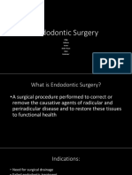 Endodontic Surgery: Bilog Falloran Ferrer Delos Reyes Palor Quinones'