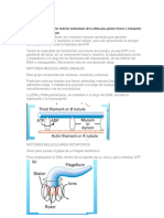 Mecanismos Efectores 1 A La 10 Pero Falta La 7