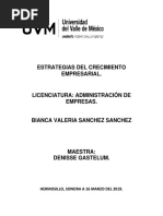 Estrategias Del Crecimiento Empresarial Act 3 Mapa C.