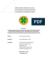 Informe de Cubicación de Madera Rollia y Arbol en Pie