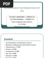 Management Information System 17bhm1216