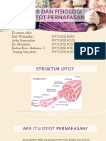 Anatomi Dan Fisiologi Otot Pernafasan