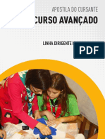 Curso Avançado Dirigente Institucional Cursante PDF