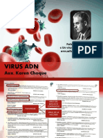 Virus ADN PDF