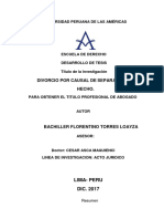 Divorcio Por Causal de Separaciôn de Hecho PDF