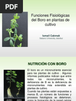 Funciones Críticas Del Boro (Cakmak) PDF