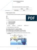 Prueba Sumativa Matematica 8