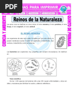 Ficha Reinos de La Naturaleza para Quinto de Primaria PDF