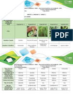 Trabajo Botanica