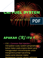 Cri Fuel System PDF