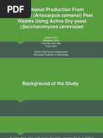 Bioethanol Production From Breadnut (Artocarpus Camansi) Proposal